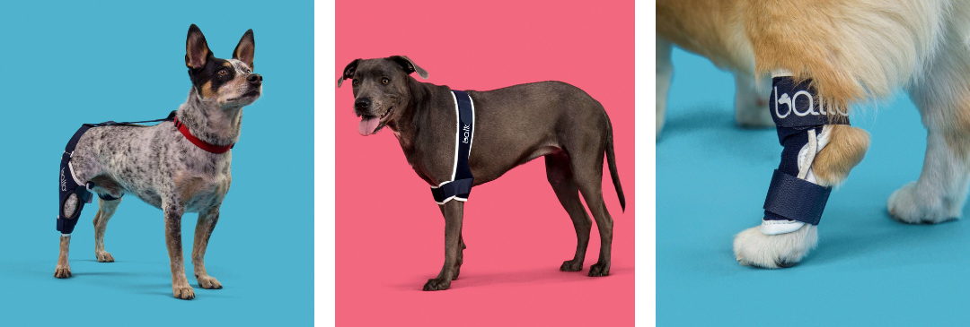 UltraPet -  Instagram_4